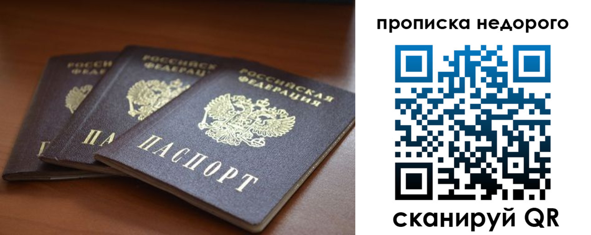 временная регистрация недорого в Светогорске